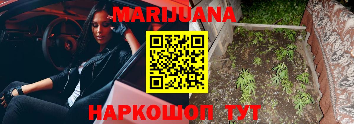 Бошки Шишки гибрид Удомля